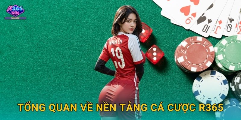 Tổng quan về nền tảng cá cược R365