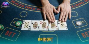 Bridge R365 – Bài Đấu Trí Đỉnh Cao Châu Âu