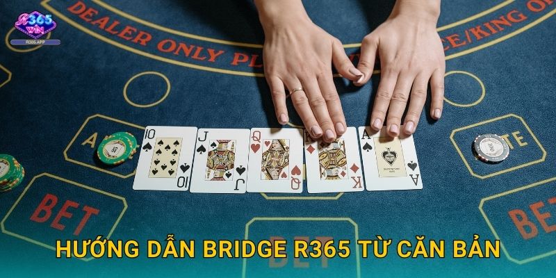Bridge R365 - Bài Đấu Trí Đỉnh Cao Châu Âu 2 Hướng dẫn Bridge R365 từ căn bản