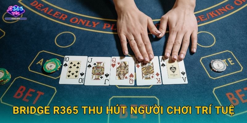Bridge R365 - Bài Đấu Trí Đỉnh Cao Châu Âu 3 Bridge R365 thu hút người chơi trí tuệ